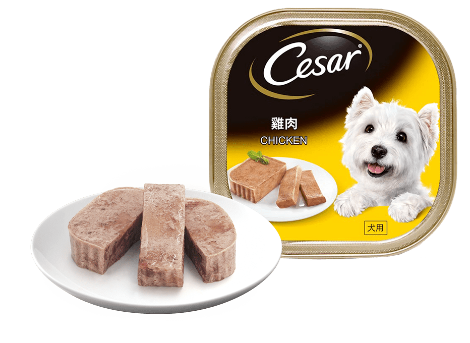 CESAR TRAYS CHICKEN 100 g